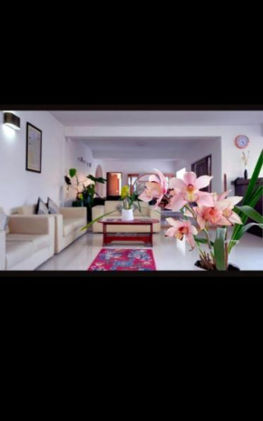 Temi House A Boutique Hotel